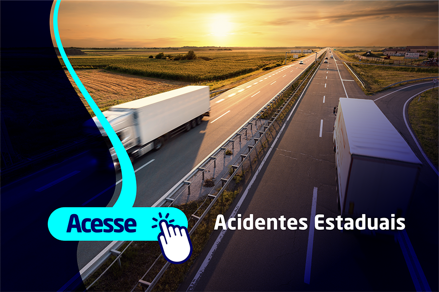 Card Acidentes Rodovias Estaduais